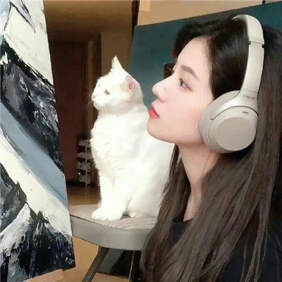 麦迪逊