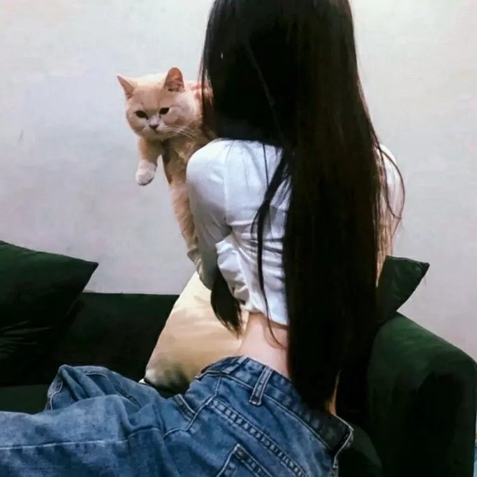大厨小婿